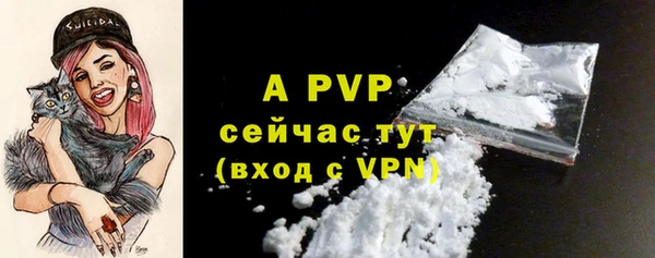 твердый Балахна