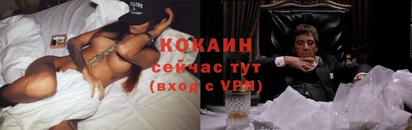 твердый Балахна