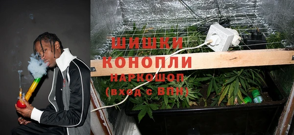 spice Баксан