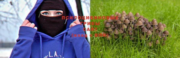 твердый Балахна