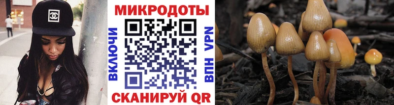 Галлюциногенные грибы MAGIC MUSHROOMS  hydra ссылка  Заозёрск 